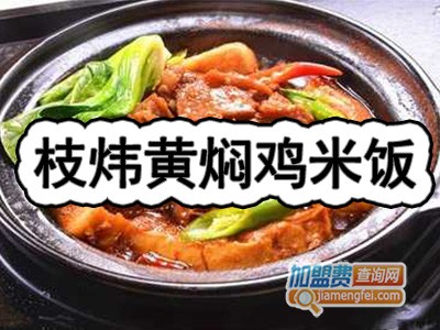 枝炜黄焖鸡米饭