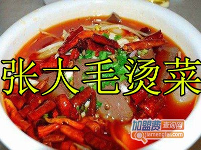 张大毛烫菜加盟费