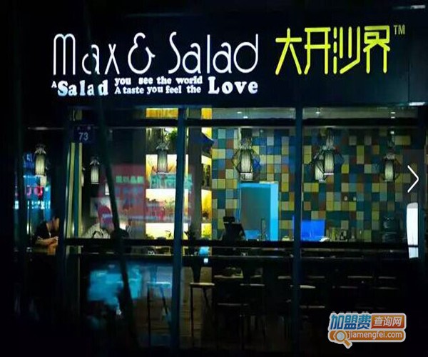 大开沙界沙拉加盟