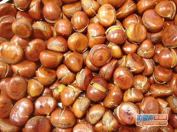 金橙栗加盟门店