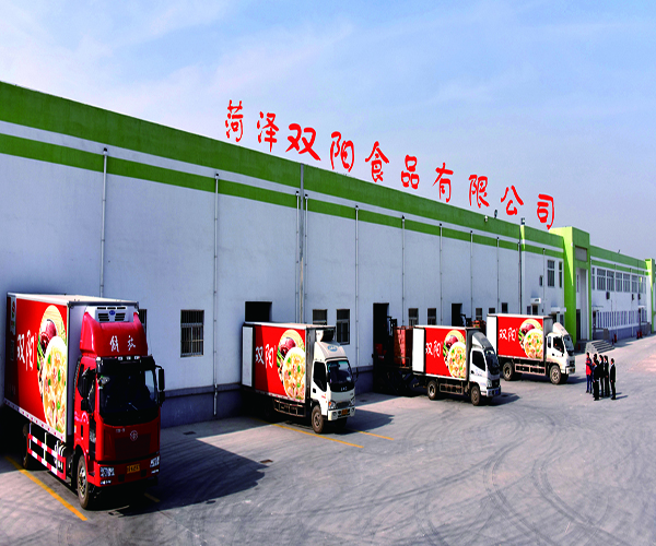 双阳食品加盟门店
