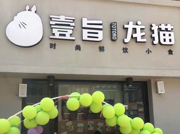 壹旨龙猫