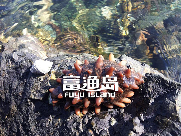 富渔岛加盟门店