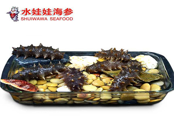 水娃娃海参加盟门店