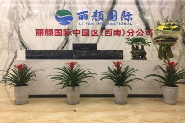 丽颜国际加盟门店