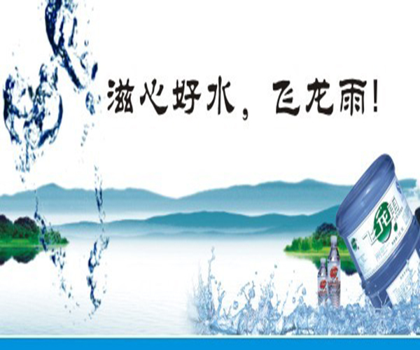 飞龙雨