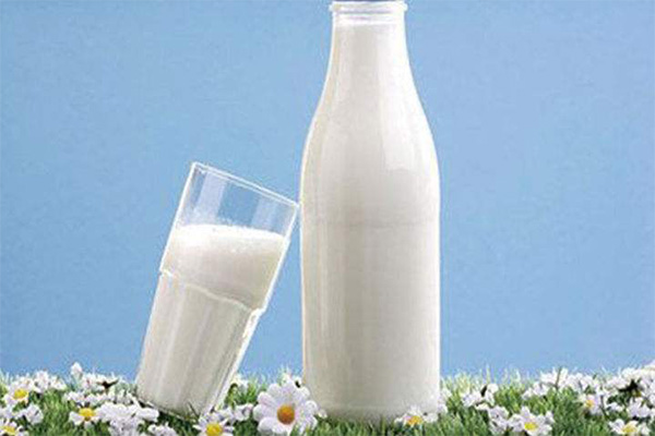 金贝鲜奶加盟费