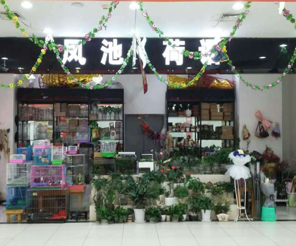 凤池荷语加盟门店