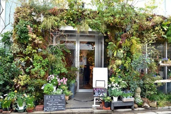 芙罗拉水果花加盟