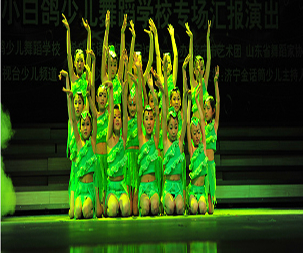 小白鸽舞蹈加盟