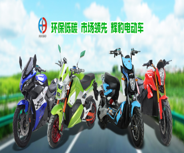 辉豹电动车加盟门店