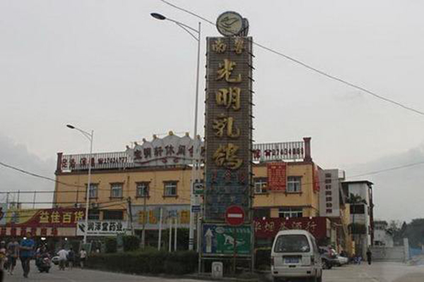 光明乳鸽