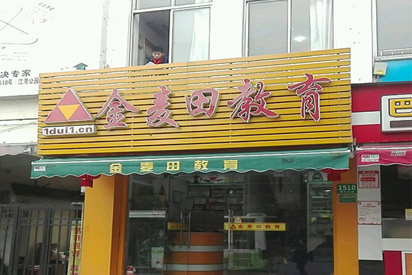 金麦田教育加盟费