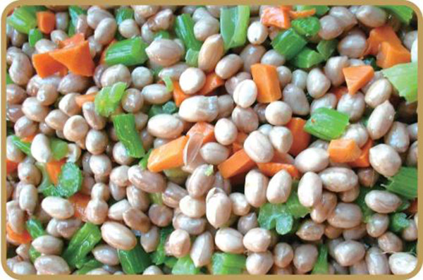 老白家族凉菜加盟费