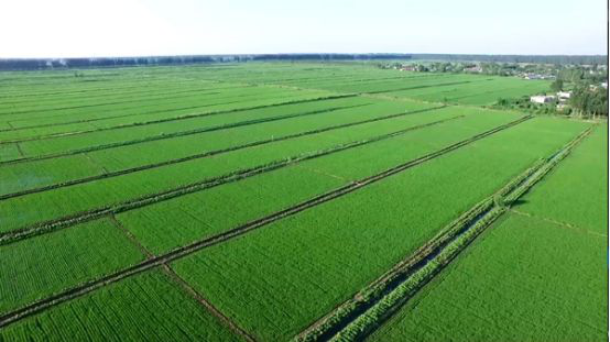 未来发展五大行业 教育加盟才是重点