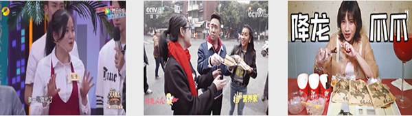 成都降龙爪爪