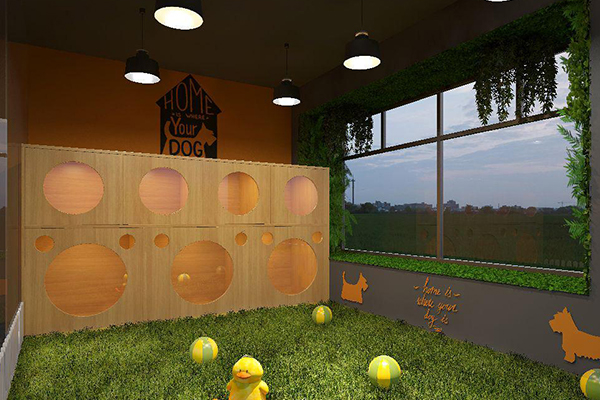 宠物店加盟门店