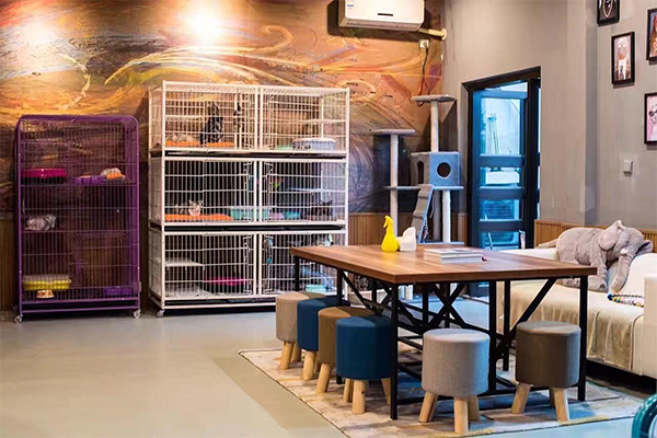 宠物店加盟门店