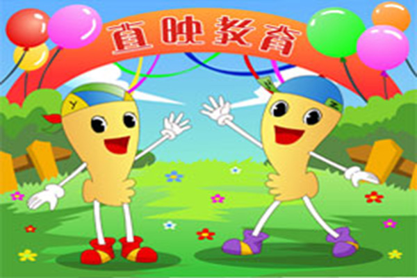 直映教育加盟费