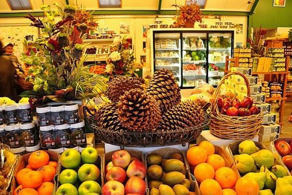 原素水果店加盟费