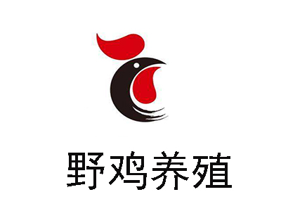 野鸡养殖