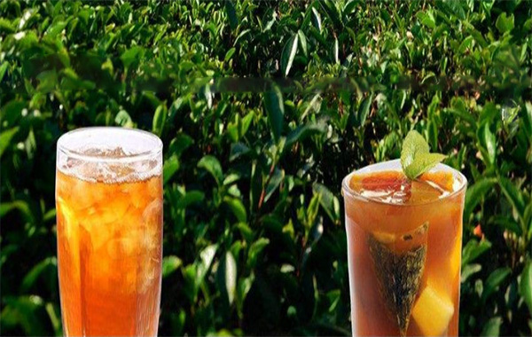 五茶道加盟门店