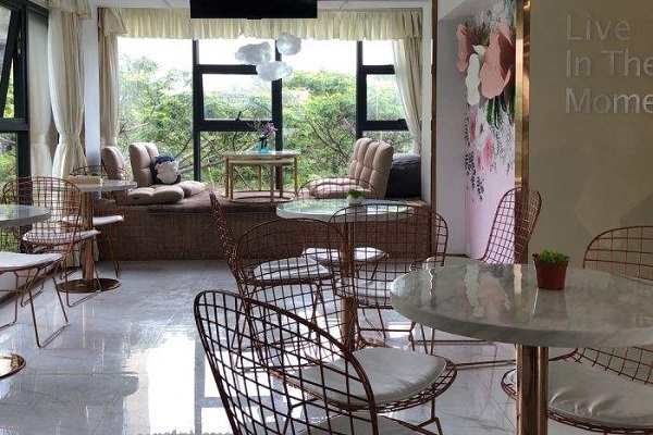 toptea上层茶饮加盟费