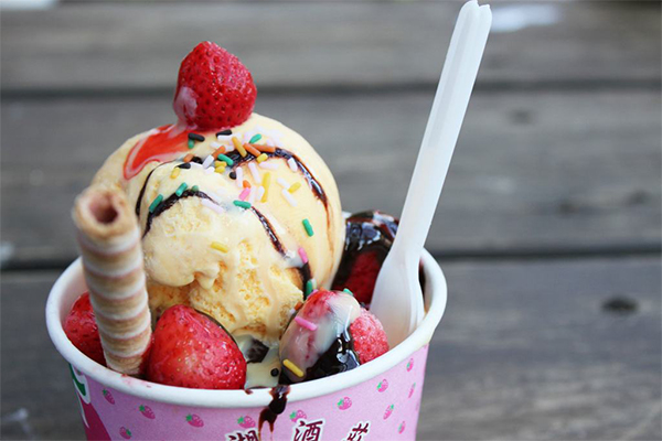 snowvan冰激凌加盟门店