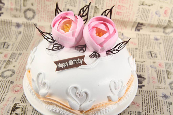 伊丽雅蛋糕加盟