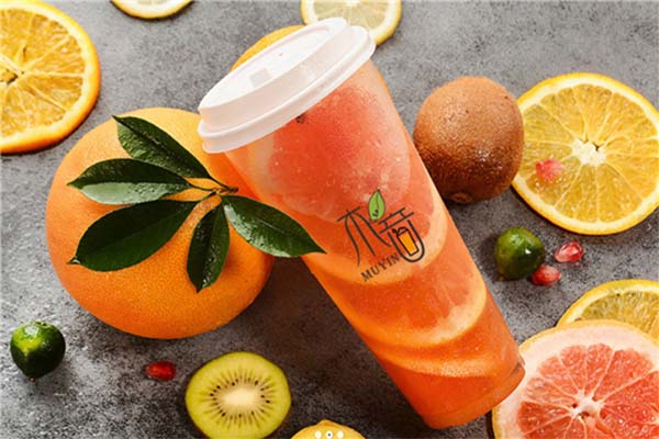 木音果茶加盟费