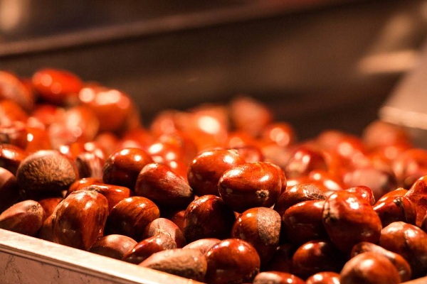 栗粒香干果加盟店