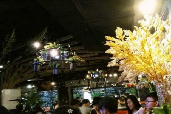 椰林印象音乐主题椰子鸡加盟店