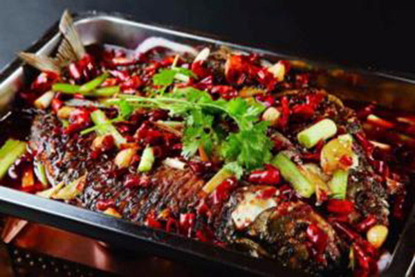 八级猫烤鱼加盟门店