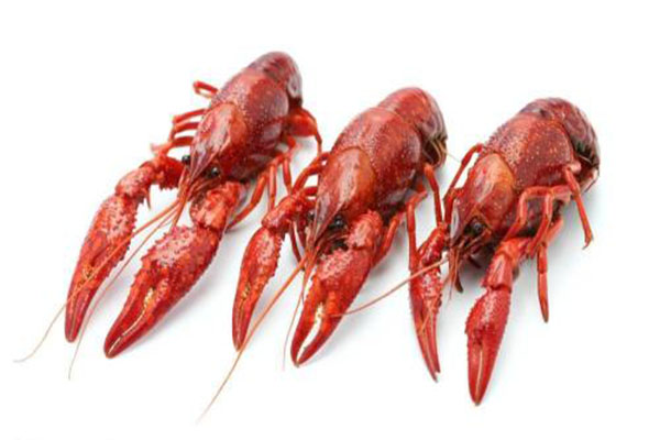 麦老大龙虾加盟费