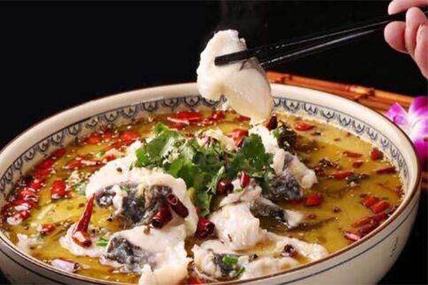 薇薇酸菜鱼加盟费