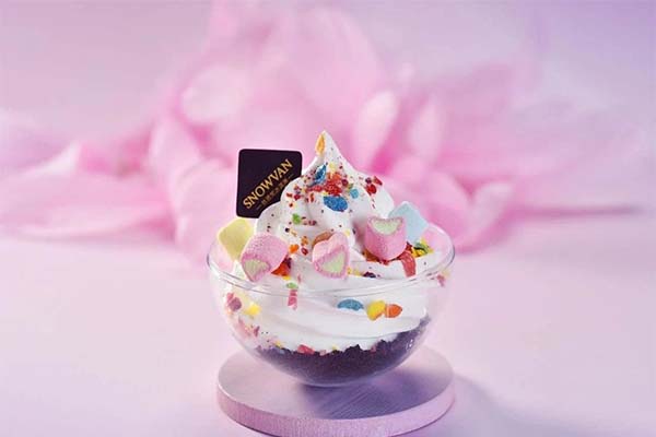 丝诺梵冰淇淋加盟费