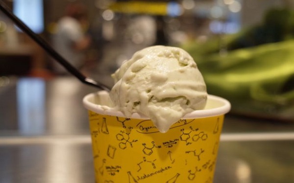 N2怪咖冰淇淋加盟费