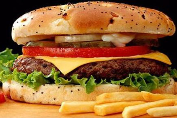 恐龙大叔汉堡加盟费