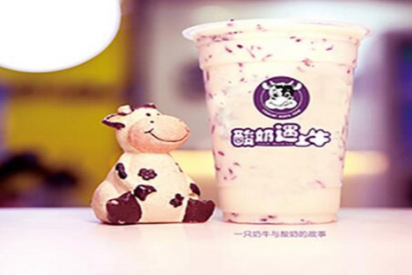 酸奶遇上牛加盟费