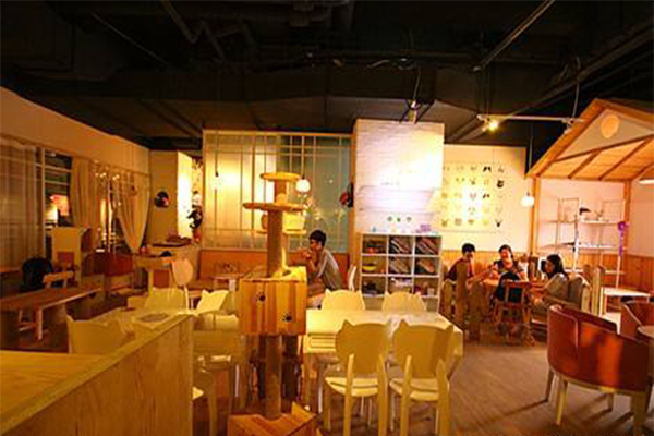 星猫先生面馆加盟费