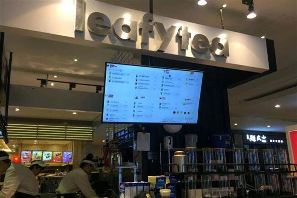 leafytea丰茶加盟