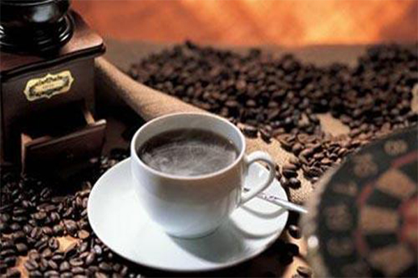 鲁瓦克咖啡加盟费