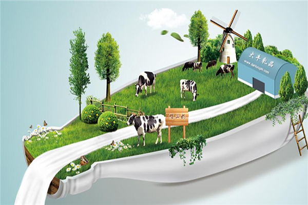 大牛乳品加盟费