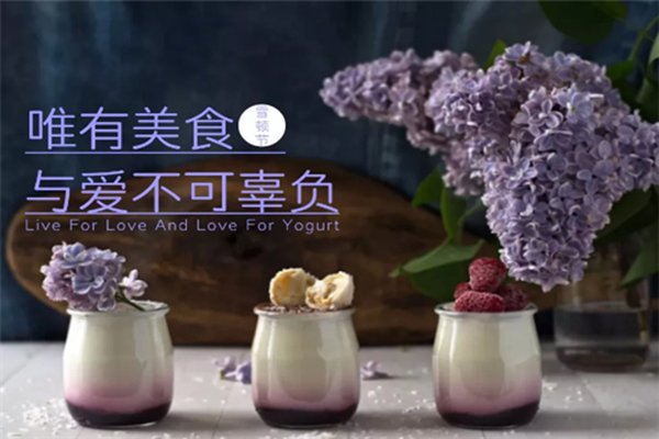 雪顿节酸奶加盟费