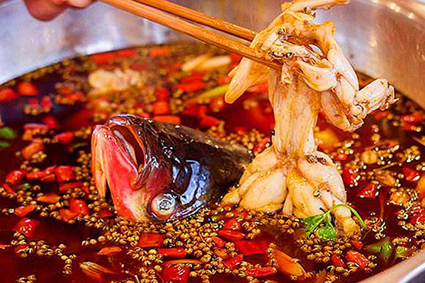 巴乡鱼头重庆火锅加盟费