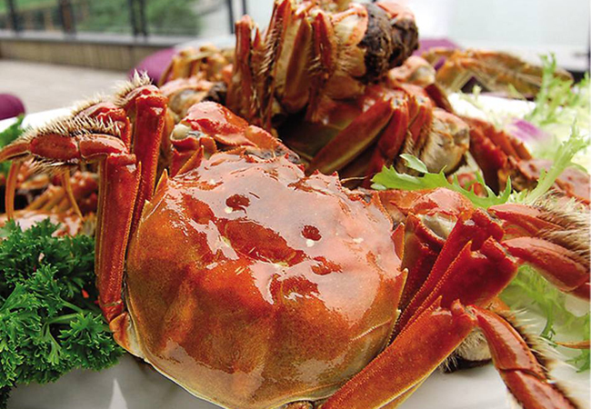 兴化大闸蟹加盟费