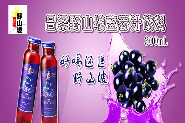 吕梁野山坡加盟费