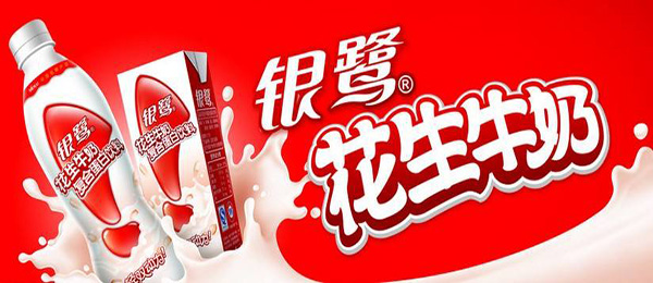 银鹭花生牛奶加盟费