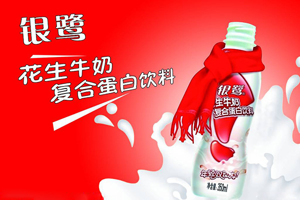 银鹭花生牛奶加盟费