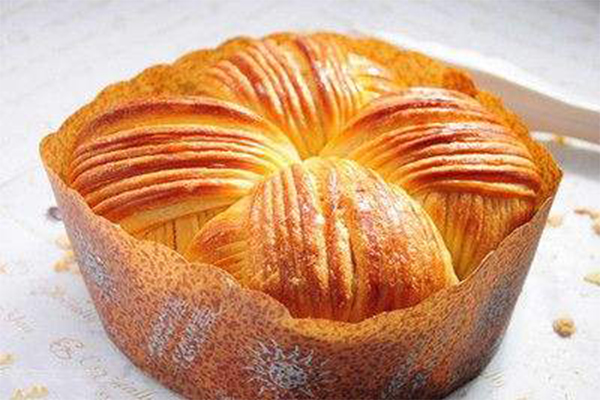 麦田云雀加盟费